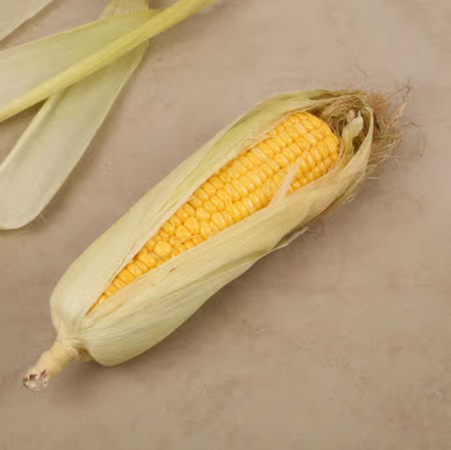 Corn Cob (Bhutta) [1 pc]
